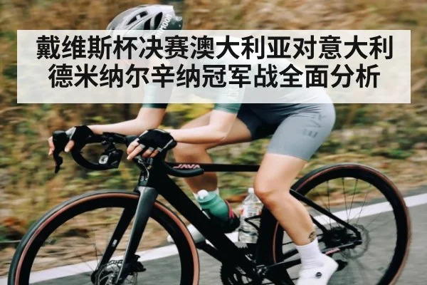 戴维斯杯决赛澳大利亚对意大利 德米纳尔辛纳冠军战全面分析